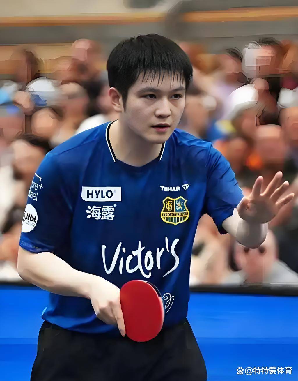 英国乒乓球队爆冷比利时乒乓球队，樊振东制霸全场的简单介绍