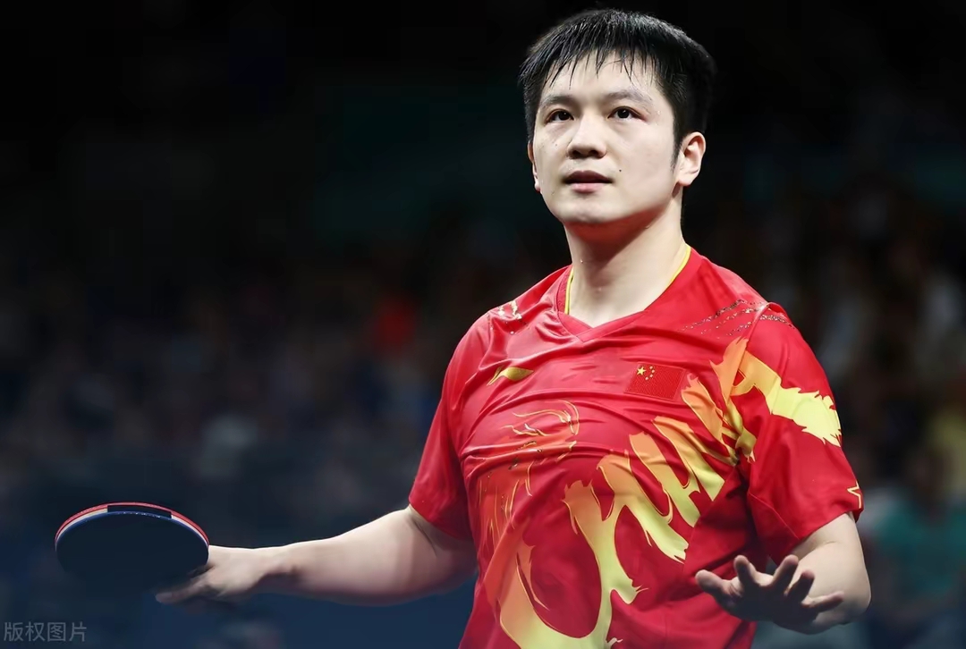 瑞典队完胜法国队，樊振东状态火热的简单介绍