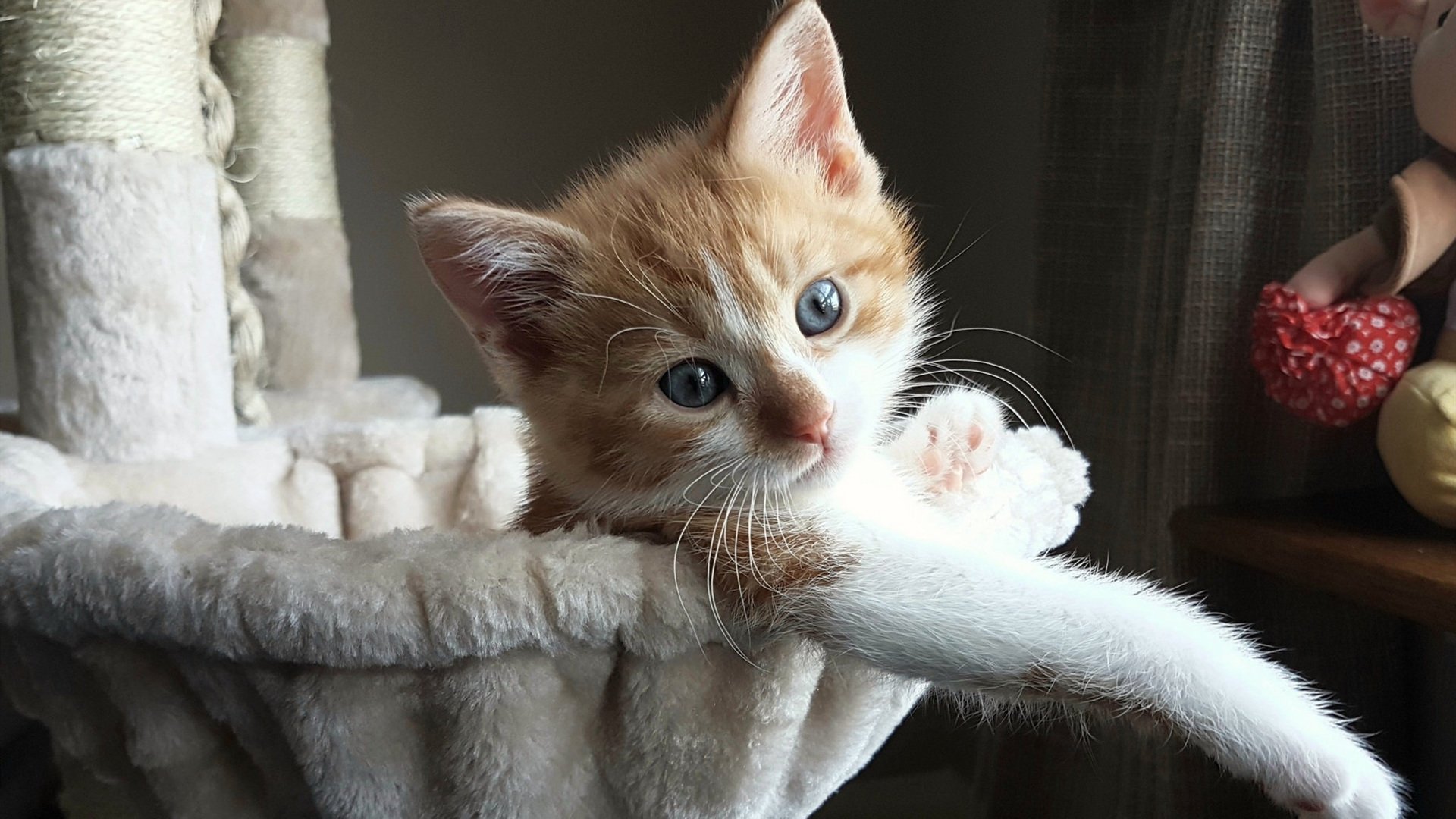 英超争冠之夜,维尼修斯对手完全无解